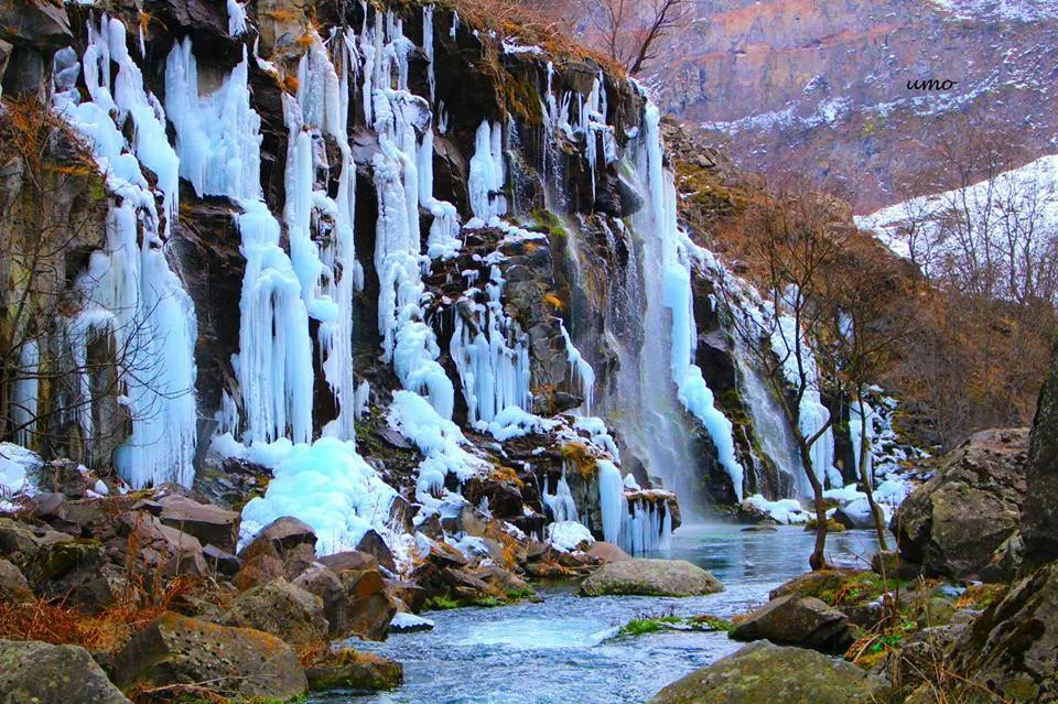 კოტეჯები წალკაში, დაშბაშის კანიონზე