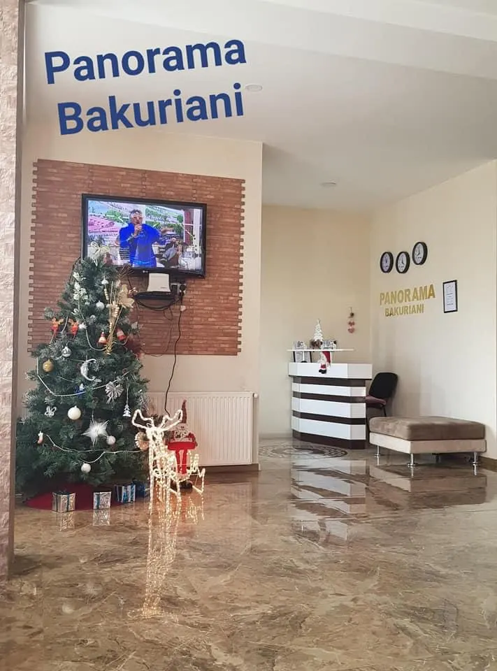 ხუთსაძინებლიანი კოტეჯი ბაკურიანში K-44