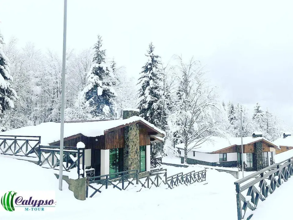 ოთხსაძინებლიანი კოტეჯი ბაკურიანში K-23