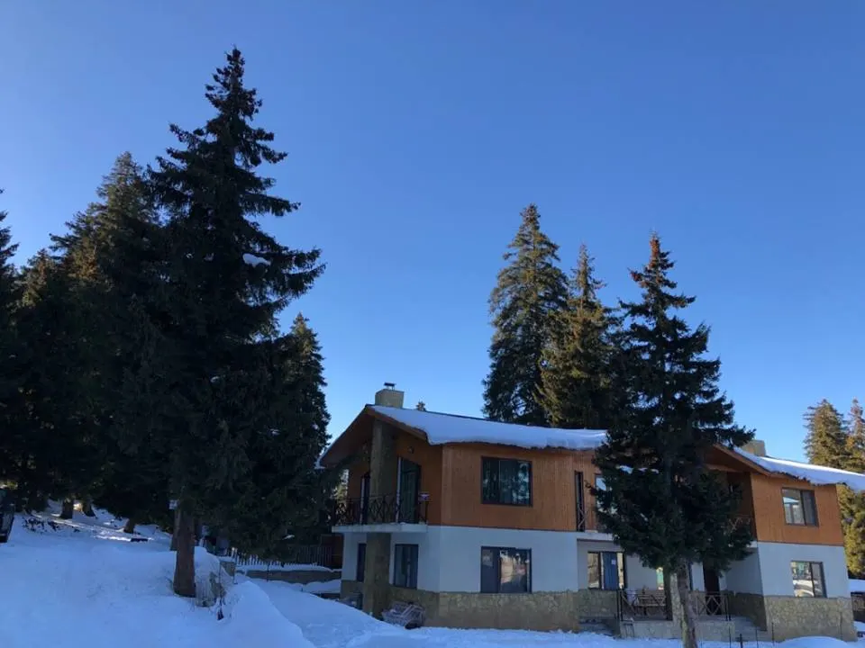 ქირავდება ოთხსაძინებლიანი კოტეჯი K-1-4 ბაკურიანში