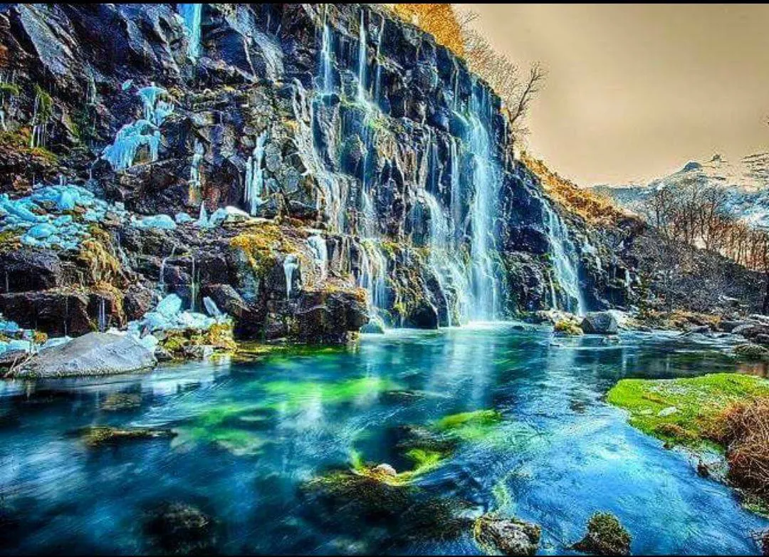 კოტეჯები წალკაში, დაშბაშის კანიონზე